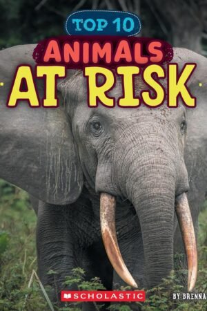Animals At Risk