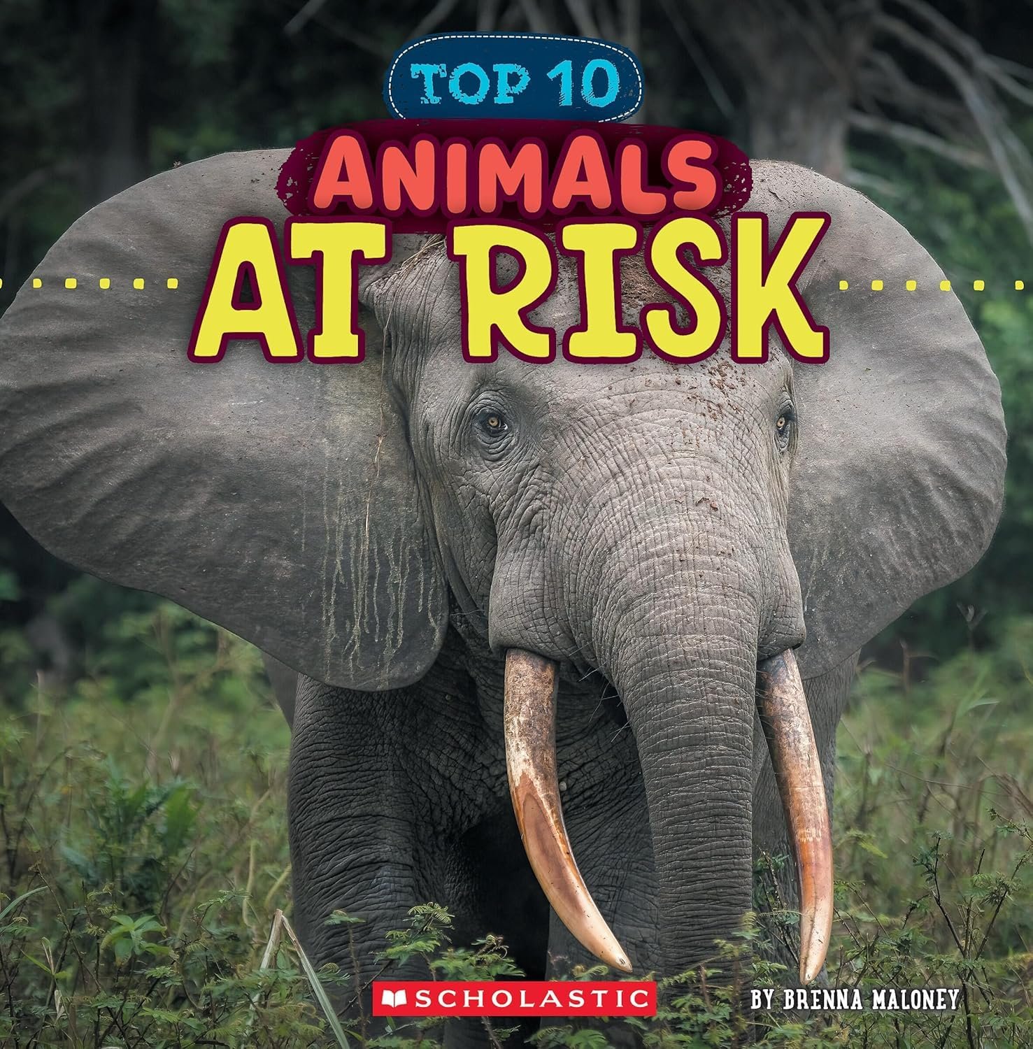Animals-At-Risk