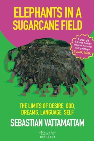 Elephants in sugarcane field