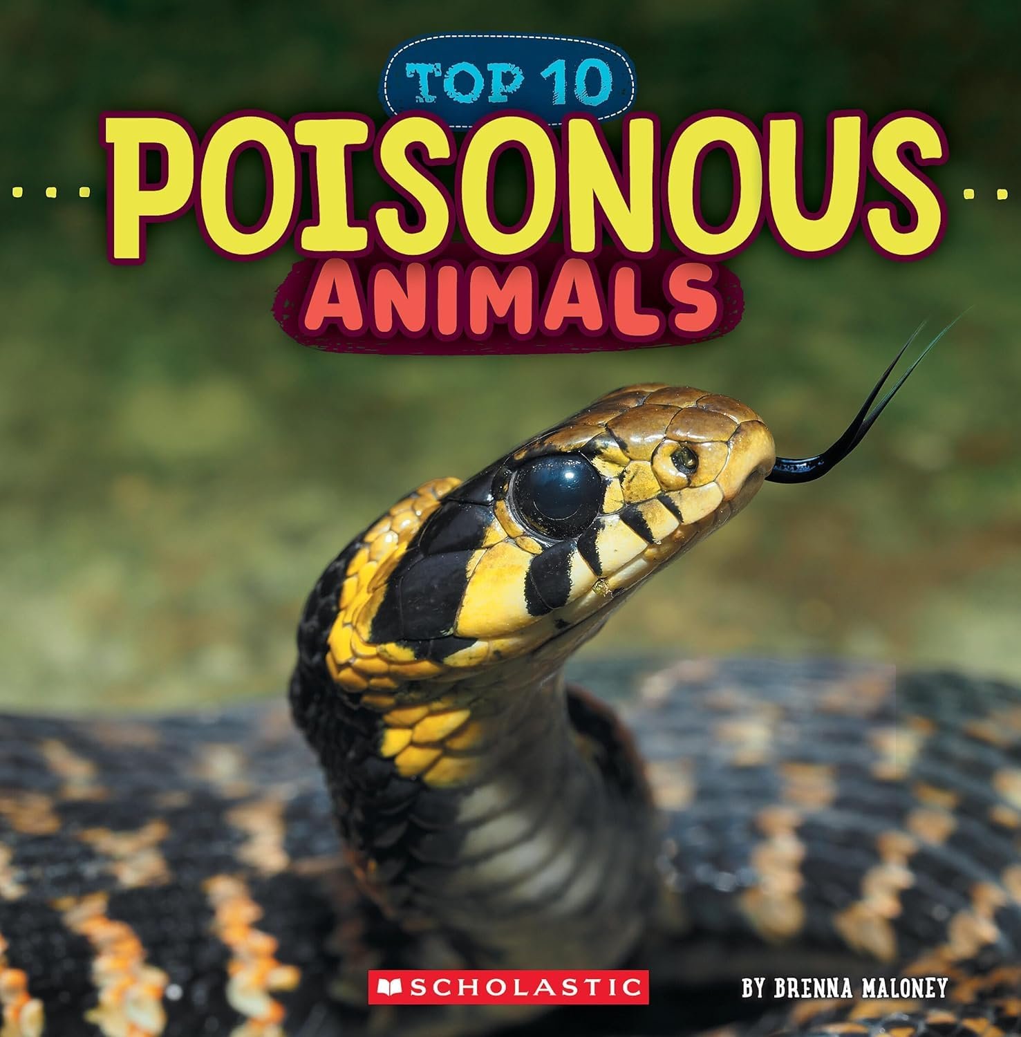 Poisonous-Animals